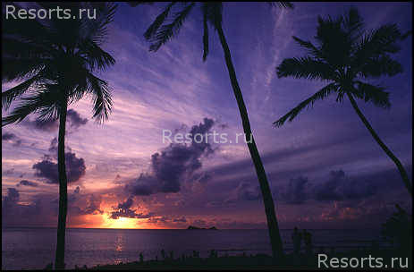 Nail Bay Resort Community 33